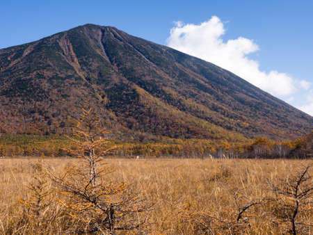 View of Mount Nantai from Senjogahara plateau in Nikko national park, Japanの写真素材
