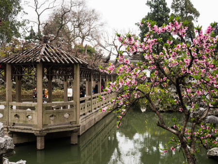Suzhou, China - March 23, 2016: Springtime in Lion Grove Garden, a classical Chinese garden and part of Unesco World Heritage in Suzhouのeditorial素材