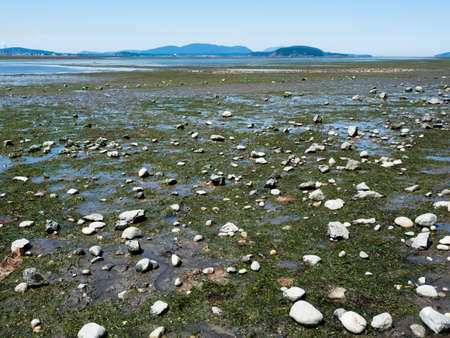 Low tide coastal scenery at Bay View State Park, WA, USA, with views across Padilla Bay to San Huan...