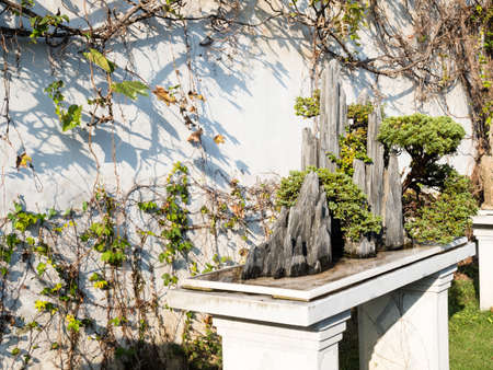 Miniature rock garden oriental bonsai installationの写真素材