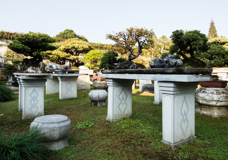 Suzhou, China - October 30, 2017: Bonsai installation at Lingering Garden, one of the most famous classical gardens of Suzhouのeditorial素材