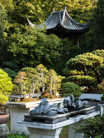 Suzhou, China - October 30, 2017: Bonsai installation at Lingering Garden, one of the most famous classical gardens of Suzhouのeditorial素材