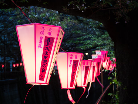 Tokyo, Japan - April 2, 2018: Paper lanterns lit at night during cherry blossom festival on Meguro riverのeditorial素材