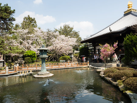 Naruto, Japan - April 2, 2018: Cherry blossoms at Ryozenji, temple number 1 of Shikoku-henro pilgrimageのeditorial素材