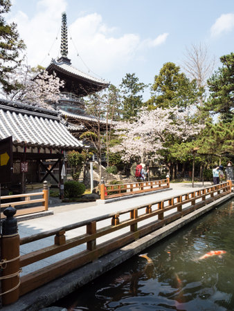 Naruto, Japan - April 2, 2018: Cherry blossoms at Ryozenji, temple number 1 of Shikoku-henro pilgrimage