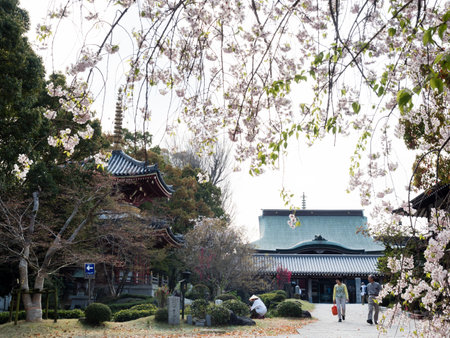 Tokushima, Japan - April 2, 2018: Springtime in Anrakuji, temple number 6 of Shikoku pilgrimageのeditorial素材
