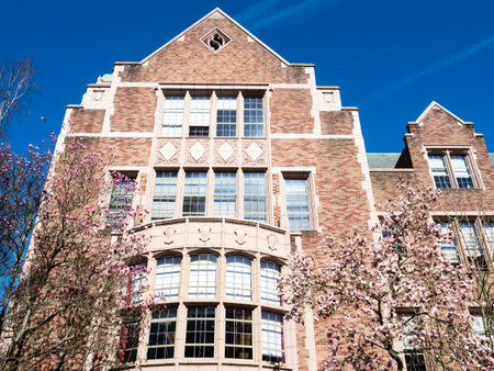 Magnolia trees blossoming at university campus - Seattle, WA, USA
