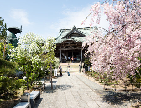 Komatsushima, Japan - April 4, 2018: Main hall of Tatsueji, temple number 19 of Shikoku pilgrimage, during cherry blossom seasonのeditorial素材