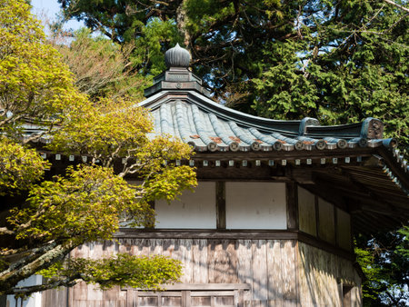 Tokushima, Japan - April 4, 2018: On the grounds of Tairyuji, temple number 21 of Shikoku pilgrimageのeditorial素材