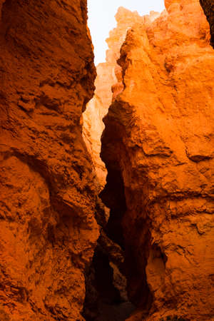 Red rock formations along Navajo Loop Trail in Bryce Canyon National Park - Utah, USAの写真素材