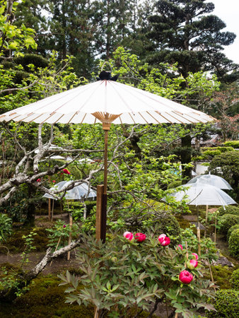 Nankoku, Kochi prefecture, Japan - April 6, 2018: Traditional Japanese garden decorated with umbrellas on the grounds of Kokubunji, temple number 29 of Shikoku pilgrimageのeditorial素材