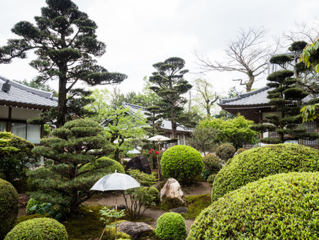Nankoku, Kochi prefecture, Japan - April 6, 2018: Traditional Japanese garden decorated with umbrellas on the grounds of Kokubunji, temple number 29 of Shikoku pilgrimageのeditorial素材