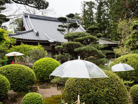 Nankoku, Kochi prefecture, Japan - April 6, 2018: Traditional Japanese garden decorated with umbrellas on the grounds of Kokubunji, temple number 29 of Shikoku pilgrimageのeditorial素材