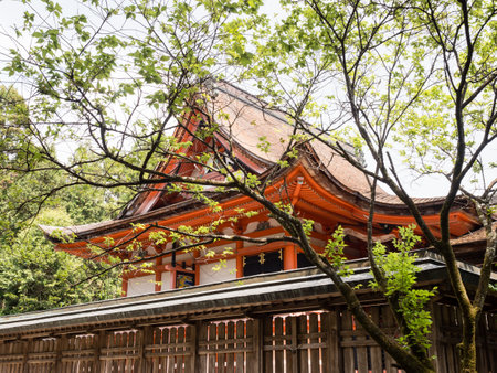 Kochi, Japan - April 6, 2018: On the grounds of historic Tosa shrine, designated as Important Cultural Property in Japanのeditorial素材