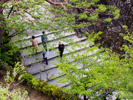 Kochi, Japan - April 6, 2018: Visitors climbing stone steps leading to Kochi castle, one of the 12 original Edo period castles of Japanのeditorial素材