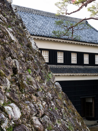 Kochi, Japan - April 7, 2018: Stone wall and entrance gate of Kochi castle, one of the 12 original Edo period castles of Japanのeditorial素材