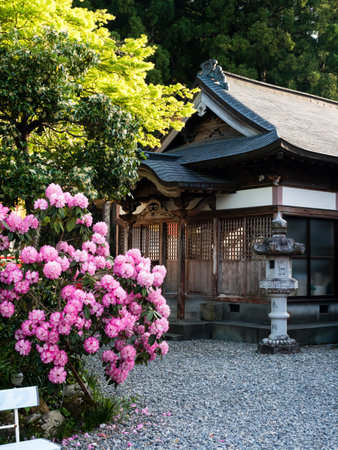 Kochi Prefecture, Japan - April 8, 2018: Springtime on the grounds of Iwamotoji, temple number 37 of Shikoku pilgrimageのeditorial素材
