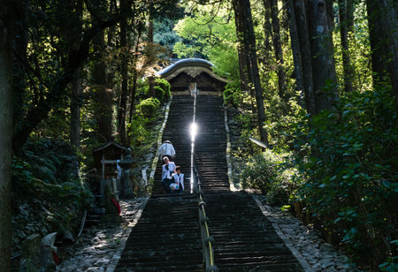 Tosa, Kochi Prefecture, Japan - April 7, 2018: O-henro pilgrims climbing the steep stairs leading to the main hall of Shoryuji, temple number 36 of Shikoku pilgrimageのeditorial素材
