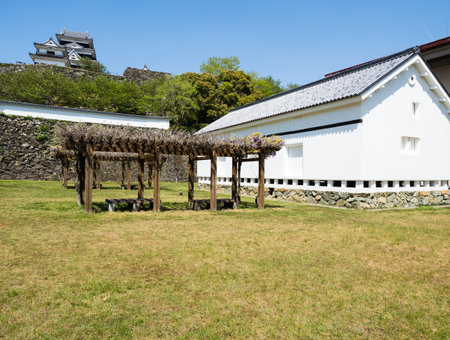View of Ozu castle, reconstructed in 2004 using traditional building methods - Ehime prefecture, Japanのeditorial素材