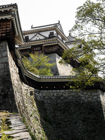 Matsuyama, Ehime prefecture, Japan - April 11, 2018: Steep stone walls and towers of historic Matsuyama Castleのeditorial素材