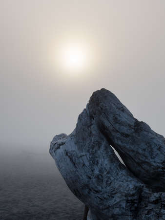 Sunset on the North Jetty beach covered in dense fog - Ocean Shores, WA, USAの写真素材