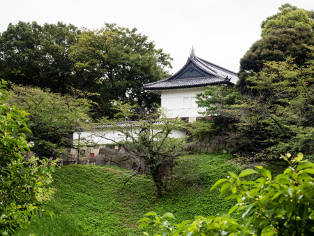 View of the white tower of former Edo castle across Ushigafuchi moat in summer - Tokyo, Japanのeditorial素材