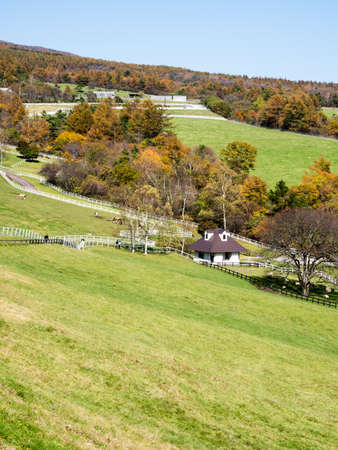 Autumn at Kannondaira overlook in Yatsugatake Mountains