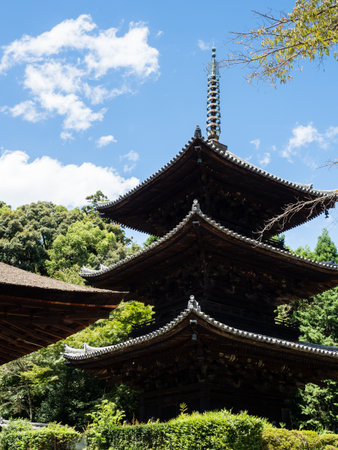 Otsu, Japan - August 21, 2018: Pagoda on the grounds of Miidera, temple number 14 of the Saigoku Kannon pilgrimage