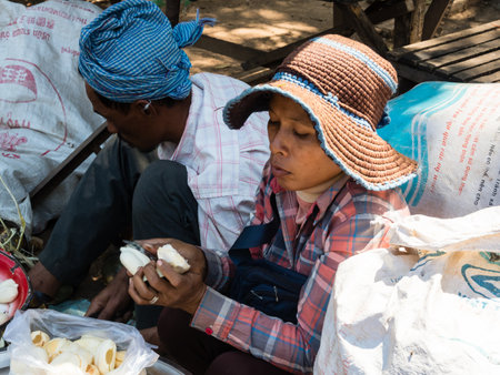 Oudongk, Cambodia - February 12, 2017: Woman peeling palmyra palm fruit pods at a street market in Oudongのeditorial素材