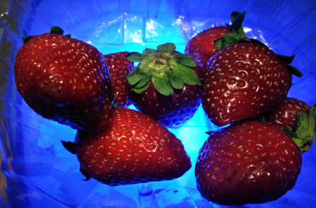 Juicy Strawberriesの写真素材
