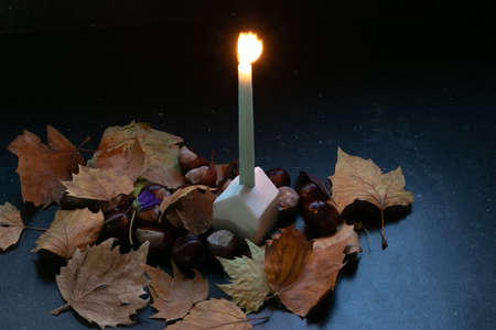 Candle on a stand that looks like a little ceramic house with autumn leaves and chestnuts around, dark backgroundの写真素材