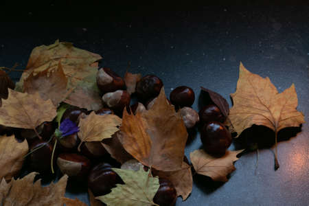 Autumn leaves and chestnuts on a dark marble background, moody winter feelingsの写真素材
