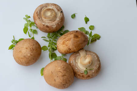 cave mushrooms or chestnut mushrooms and dwarf basil leaves as a composition on wooden tableの写真素材
