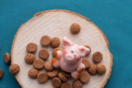 Pink marzipan pig with many pepernoten cookiesの写真素材