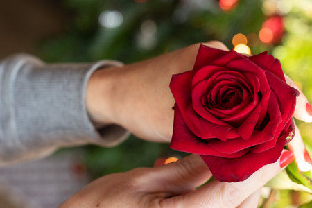 Close ups of a woman's hand with red nail polish holding a red rose, selective focusの写真素材