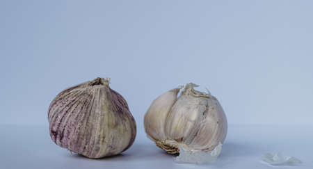 Garlic on a white backgroundの写真素材