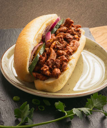 Sandwich Tandoori, made with chicken, traditional surinames bread, pickles and chilli peppersの写真素材