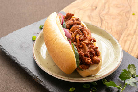 Sandwich Tandoori, made with chicken, traditional surinames bread, pickles and chilli peppersの写真素材