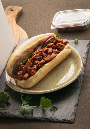 Sandwich Tandoori, made with chicken, traditional surinames bread, pickles and chilli peppersの写真素材