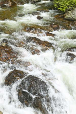Running water beneath Pines as creek runs through Payette national Forest near McCall Idahoの写真素材