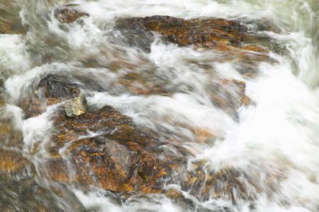 Running water beneath Pines as creek runs through Payette national Forest near McCall Idahoの写真素材
