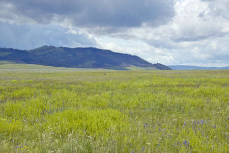 Spring grasslands and mountains in Centennial Valley near Lakeview, MTの写真素材