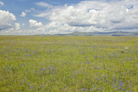 Spring grasslands and mountains in Centennial Valley near Lakeview, MTの写真素材