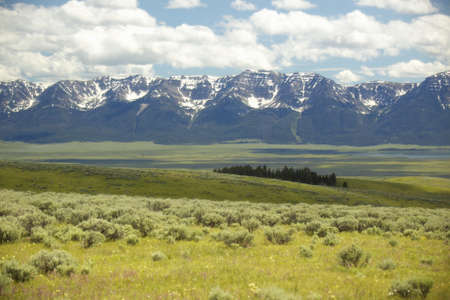 Spring grasslands and flowers in Centennial Valley near Lakeview, MTの写真素材