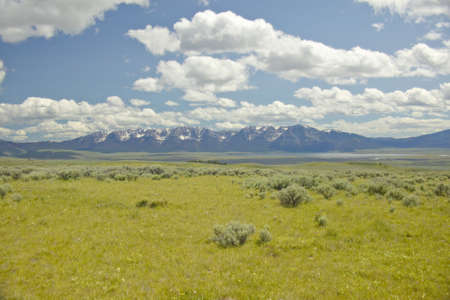 Spring grasslands and flowers in Centennial Valley near Lakeview, MTの写真素材