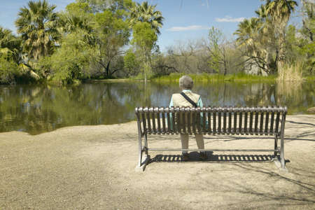 Person sitting on a bench admiring the spring nature in Agua Canyon, Tucson, AZのeditorial素材