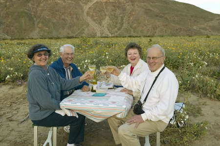 Four senior citizens drinking white wine in field of spring desert gold yellow flowers near Henderson Road in Anza-Borrego Desert State Park, CAのeditorial素材