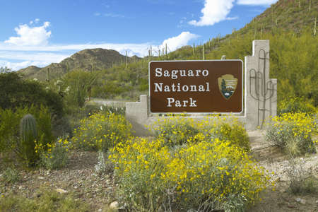 Saguaro National Park West, Tucson, AZ Welcome Sign features giant Sonoran saguaro cactusのeditorial素材