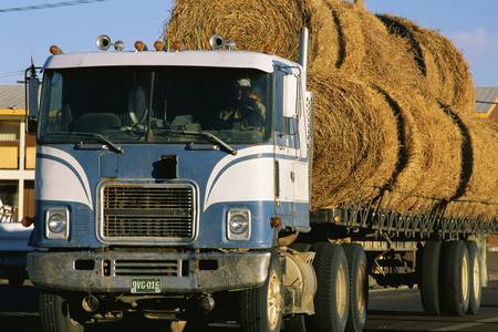 Semi truck with load of hayのeditorial素材