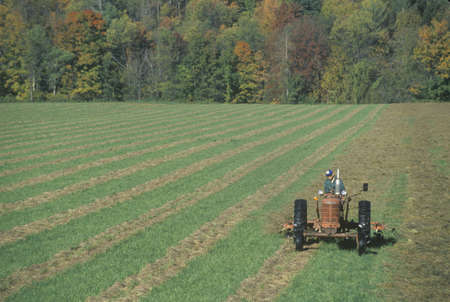 Farmer on a tractor in autumn in Stowe, VT